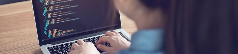 A person looking at computer code on a monitor.